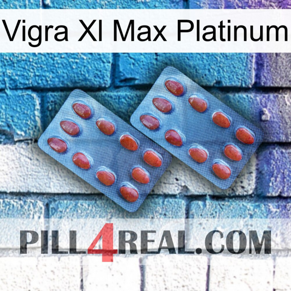 Vigra Xl Max Platinum 05.jpg